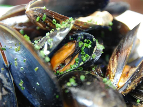 Moules marinières