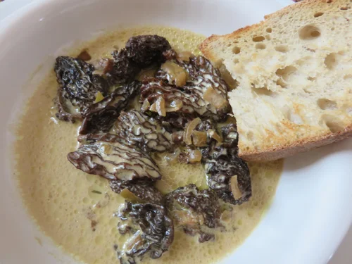Sauce au morilles